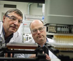 LABORATORY TEST: Nils Dyrset (left) and Geir Klinkenberg of SINTEF Materials and Chemistry are studying and culturing bacterial colonies in the laboratory in order to identify their positive characteristics. Photo: Thor Nielsen