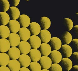Ugelstad beads: NTNU Professor John Ugelstad perfected a way to make perfectly round, perfectly uniform microscopic beads in 1977. These tiny magic beads have come to play a vital role in different medical diagnostics and treatments.