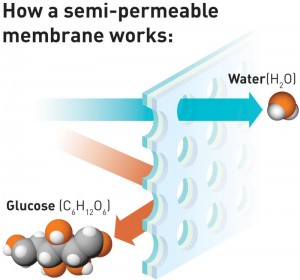 How a semi-permeable membrane works: Illustration showing the principle behind a semi-permeable membrane. The membrane's microscopic pores allow a water molecule (H2O) to pass, but the larger glucose molecule (C6H12O6) is too large to pass through the pores. Illustration: Raymond Nilsson/SINTEF