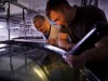 Forskningssjef Gunvor Øie i SINTEFog biolog Espen Grøtan i Marine Harvest betrakter leppefiskyngel. Foto: Thor Nielsen.
