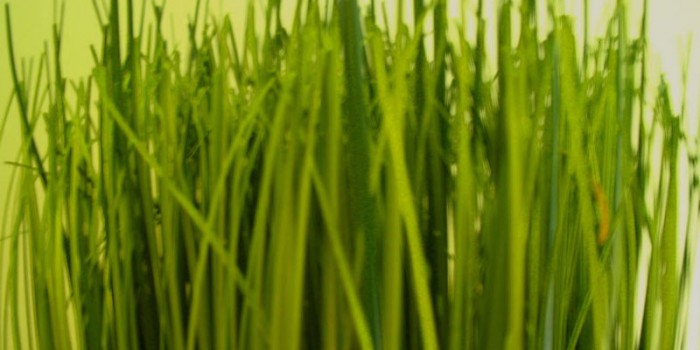 Main intro image