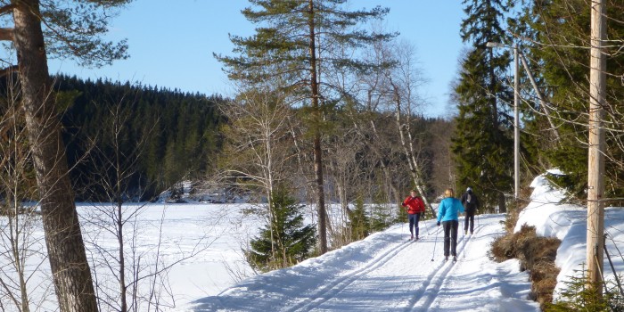 Med litt telling og enkel matematikk finner du ut hvor fort du går på ski i forhold til andre. Foto: Tage Rolén.