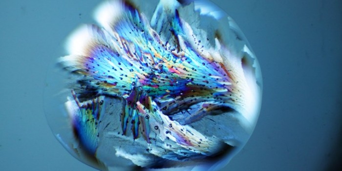 Main intro image