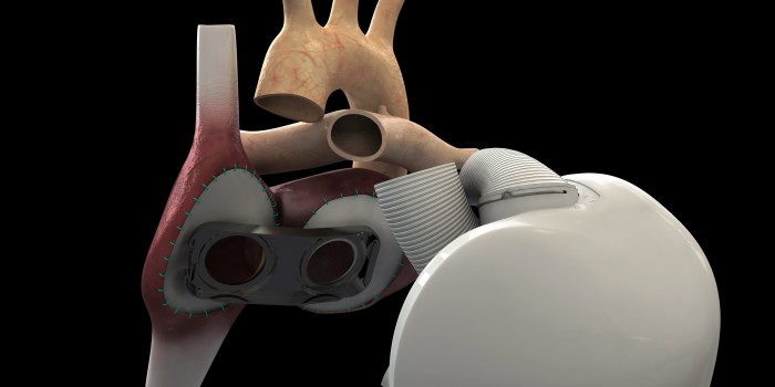 Main intro image