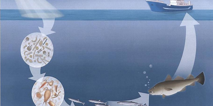 Main intro image