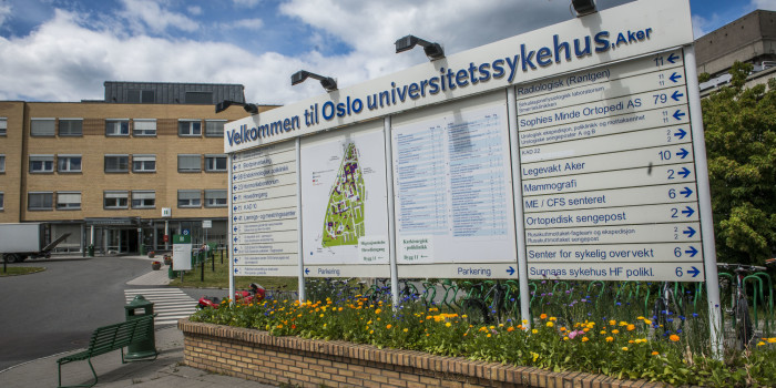Main intro image