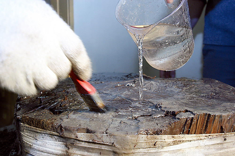 Før silikonavstøping og årringanalyse må stokken vaskes forsiktig ren for leire. Foto: Nina Tveter