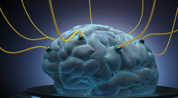 science brain