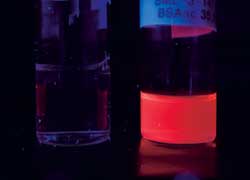 Proteinblandinga med nanogull lyser i mørkret. Dei sterke optiske eigenskapane til gullet gjer at forskarane kan følgje med på kvar i kroppen medisinane er. Foto: Inst. for kjemisk prosessteknologi