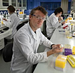 Trygve Brautaset på SINTEF jobber med å sette inn biter av «fremmed» DNA i celler. Slik får han en bakterie eller alge til å oppføre seg annerledes enn den opprinnelig er skapt til.  Foto: Thor Nielsen