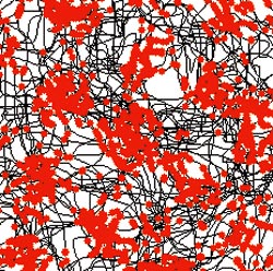 Den svarte streken viser hvor rotta har sprunget og spasert rundt i den svarte boksen. De røde prikkene viser hvor i boksen bestemte hjerneceller har våknet til liv og sendt et signal om at «Hei, nå er jeg akkurat på det stedet igjen!». Såkalte stedsceller er en vesentlig del av hjernens evne til å lage seg kart over omgivelsene, vår stedsans. Foto: Geir Mogen