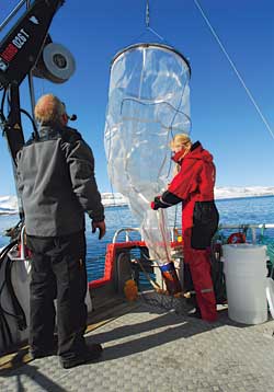 Doktorgradsstudent Ida Beate Øverjordet samlar prøver av dyreplankton utanfor vestkysten av Svalbard. Til venstre kaptein Arne C. Olstad.  Foto: Dag Altin