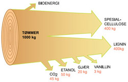 Lignin i tre har ikke blitt utnyttet i større grad, men kan brukes til både biodiesel, bioetanol og andre brenselkomponenter.  Ill: Borregaard/Jan Helge Johansen/SINTEF Media