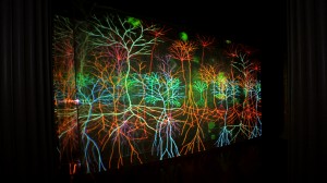 Mystisk skog. Kunstinstallasjonen Magic Forest av Andrew Carnie er basert på mikroskopiske bilder av neuroner i hjernen. De har klare visuelle likheter med trær. (© Andrew Carnie)