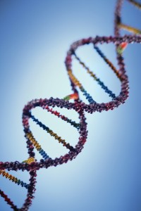 Gener er medfødt, og genene vil at vi skal lære av våre erfaringer og utvikle oss videre. Ill.: Photos.com.