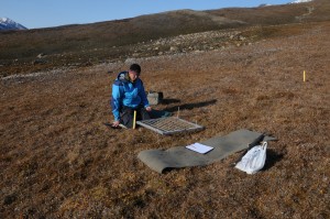Moseforsker Kristian Hassel i felt på Nordøst-Grønland. 