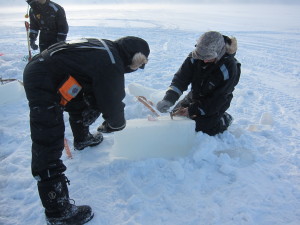 Signalpistoler må man ha når man ferdes på isen. Her undersøker to forskere en isblokk på havisen utenfor Svea, Svalbard. Foto: Maria Azucena Gonzalez Gutierrez/NTNU SAMCoT SAMCoT Svalbard ice research Svea