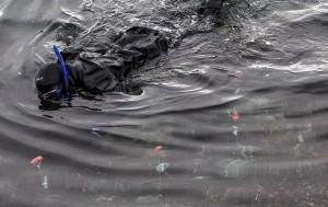Forskerne legger ut kunstige reir i PVC som fiskene kan bruke. Reirene er populære. Foto: Per Harald Olsen, NTNU