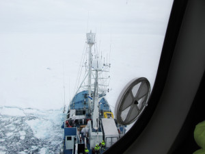 RV Lance tilbrakte seks måneder i Arktis, forankret til flere isflak, som tillot forskere å gjennomføre en vugge-til-grav studie av havisen i Arktis. NTNU-forskere var blant forskerne om bord. Foto: Åse Ervik 