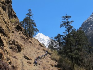 Rolwalingdalen i Nepal brukes ofte av fjellklatrere som vil akklimatisere seg. Forskerne gjorde det samme. Foto: Harald Engan, Mittuniversitetet