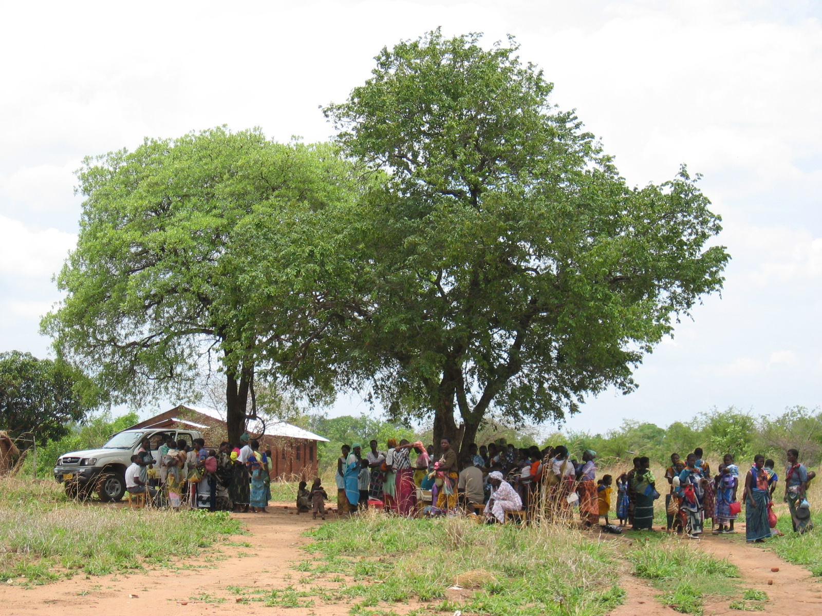 Lang kø av mennesker venter under store løvtrær foran helsestasjon i Malawi i Afrika.