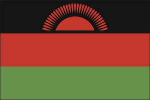 Bilde av Malawis flagg som er rødt, sort og grønt.