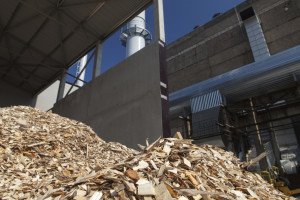 Flere norske selskap ser på muligheten for å bruke avfall fra skogbruk i kraftverk. Foto: Thinkstock.com
