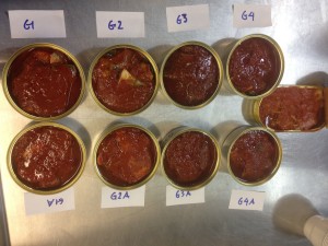 Hvilken smaker best, og hvilken er sunnest? Forskerne fant svært små forskjeller da de analyserte råstoffet til makrell i tomat. Foto: SINTEF