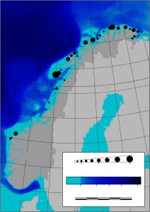 90 prosent av sjøfuglene finner du nord for polarsirkelen. En hovedgrunn kan være torskeyngelen fra Lofoten. Illustrasjon: Nature Communications