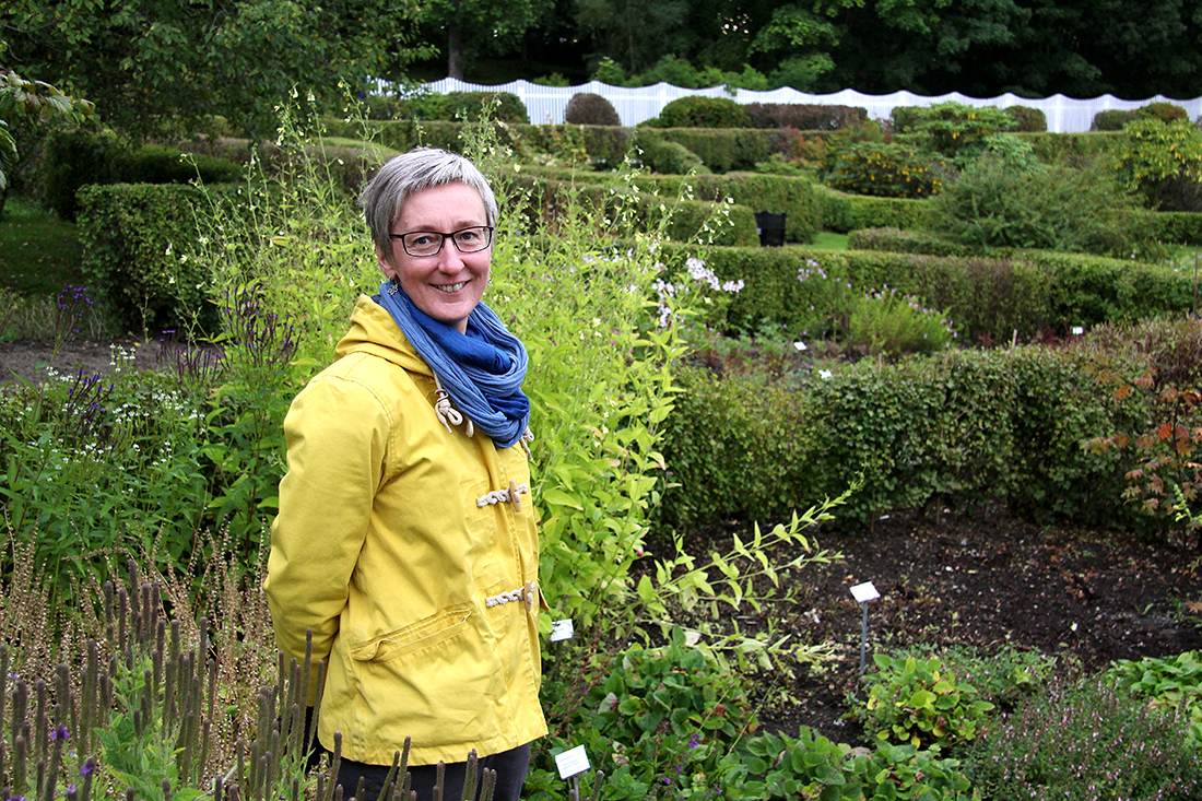 Vibekke Vange er førstelektor i botanikk og daglig leder ved Ringve botaniske hage, NTNU Vitenskapsmuseet. Hun har lagt planer for en omfattende omlegging av det plantesystematiske anlegget, som vil pågå de neste tre årene. Foto: Grete Wolden/NTNU Kommavd.
