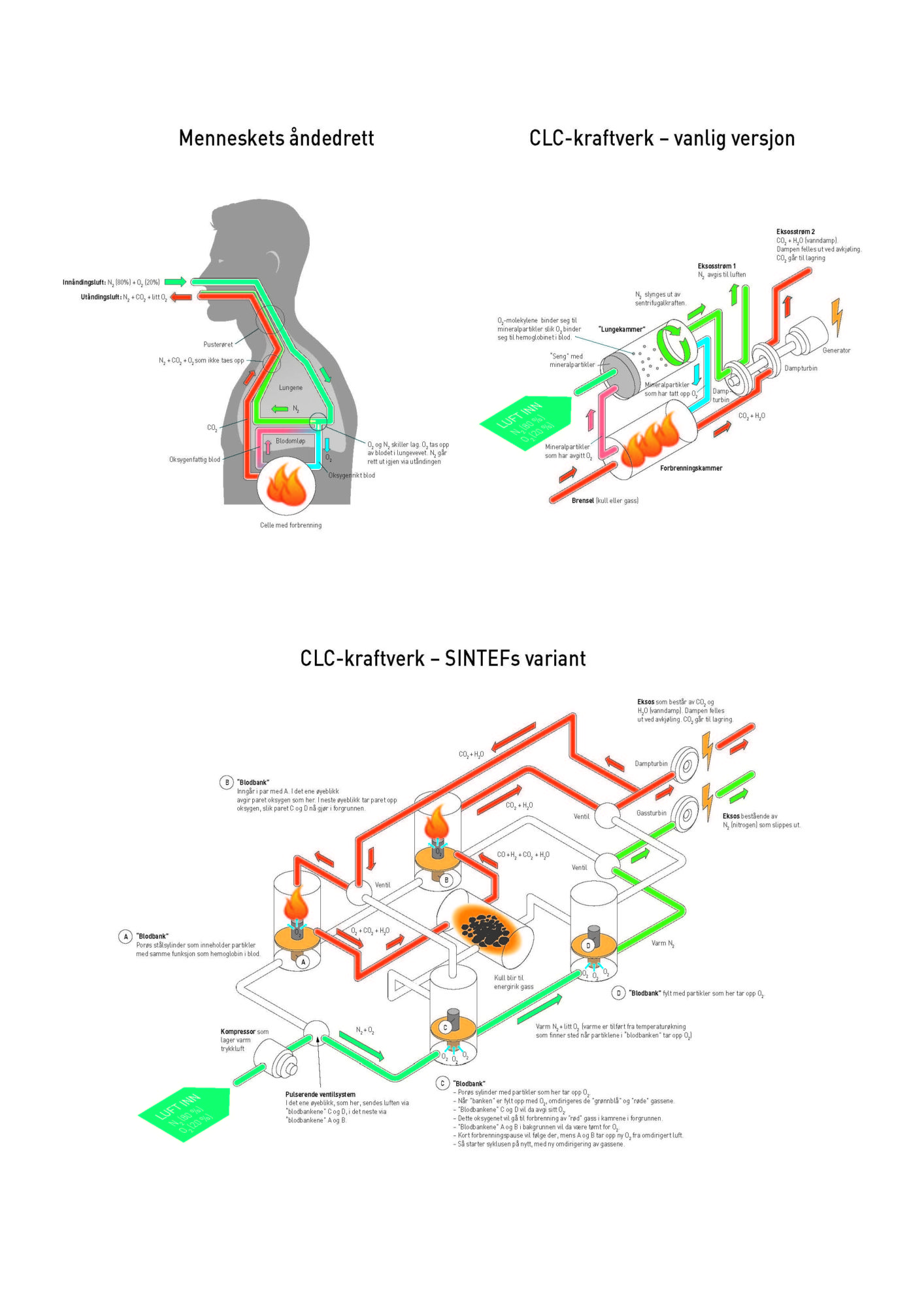 Grafikk viser at CLC-kraftverk har lånt trekk fra menneskets åndedrett.