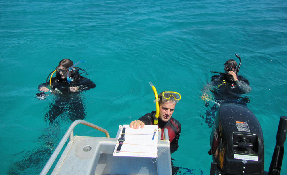 Minst to dykkere filmet hvert utslipp av fisk over Det store barriererevet (Great Barrier Reef) på østkysten av Australia. Her er forskerne Fredrik Jutfelt fra NTNU (f.v.), forsker og leder for undersøkelsen Graham Raby, og seniorforsker Timothy Clark i vannet. Foto: Josefin Sundin