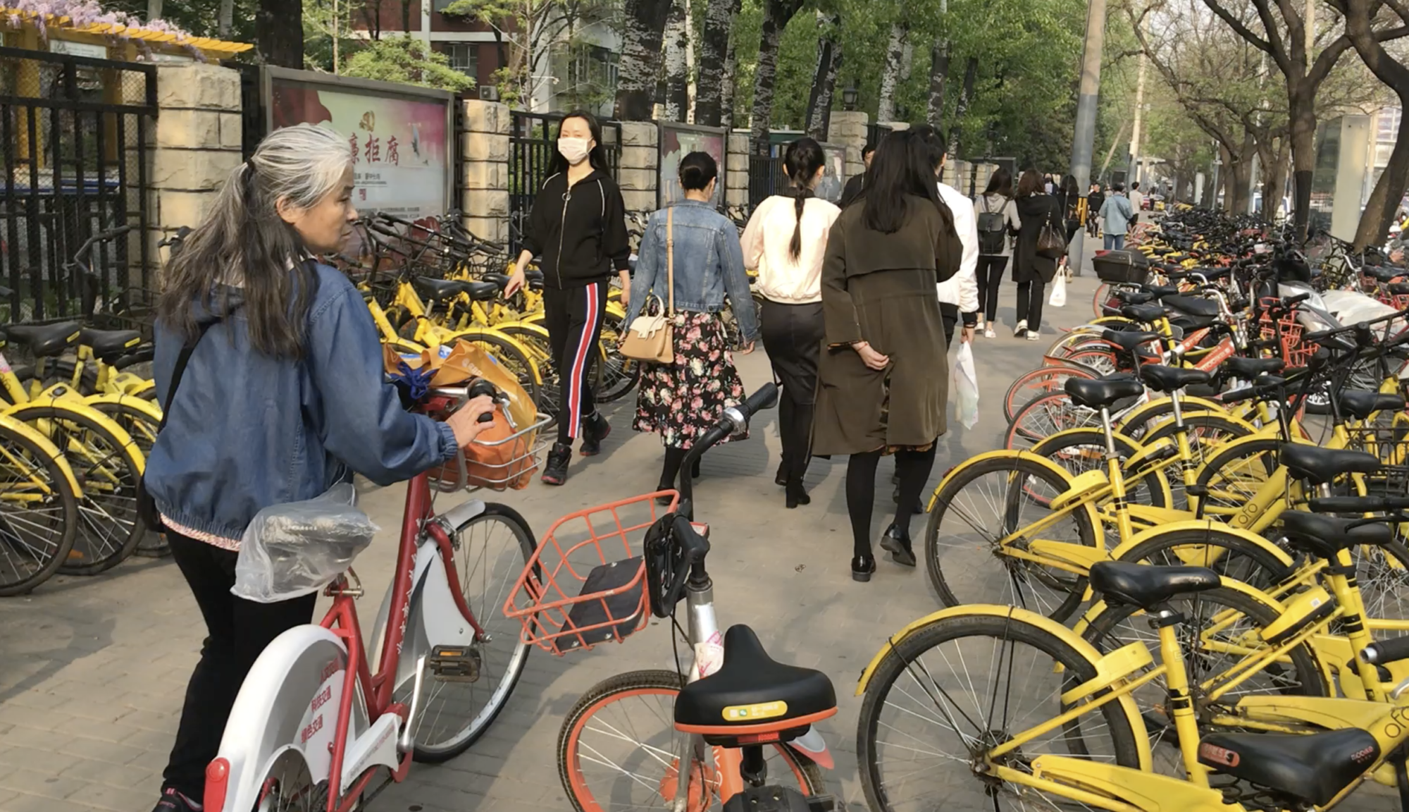 Syklene i Kinas storbyer er på full fart tilbake i trafikkbildet - i form av leiesykler.