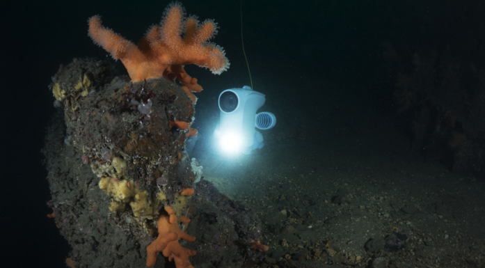 Undervannsdronen Blueye gir oss innsyn i hva som befinner seg i havdypet. Foto: Blueye Robotics