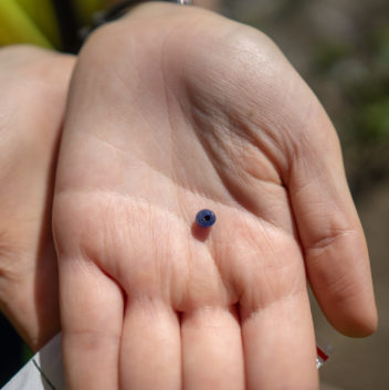 Bildet viser en hånd med en liten perle i