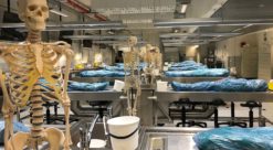 Hva skjer med kroppen etter de døde donerer den til forskning?:Anatomisk laboratorium ved NTNU.