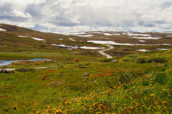 Foto av sommer på Hardangervidda.