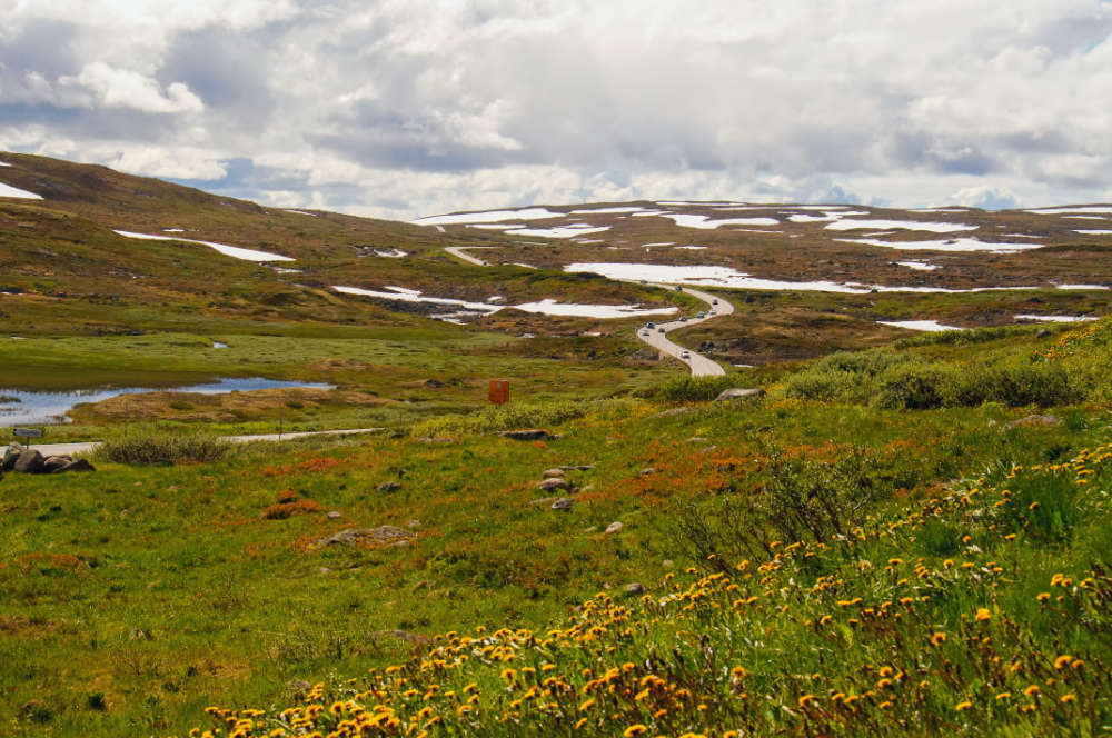 Foto av sommer på Hardangervidda.
