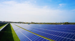 Stort solcelleanlegg i grønne omgivelser