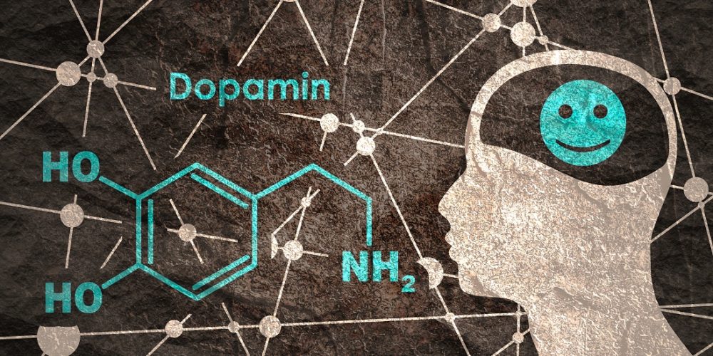 Dopamin. Illustrasjonen viser dopamins påvirkning på hjernen.
