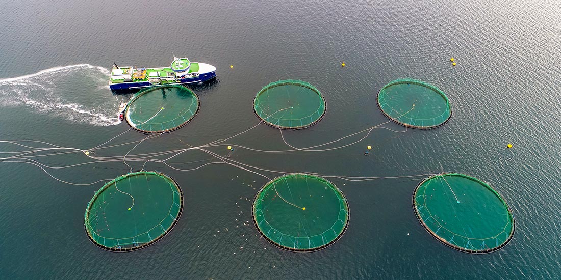 Bildet viser fiskeoppdrett til sak om sirkulærøkonomi