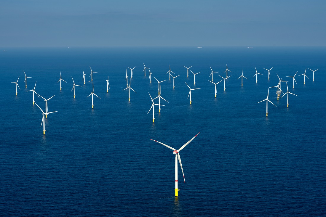 Klimaet. Bildet viser en vindkraftpark til havs.