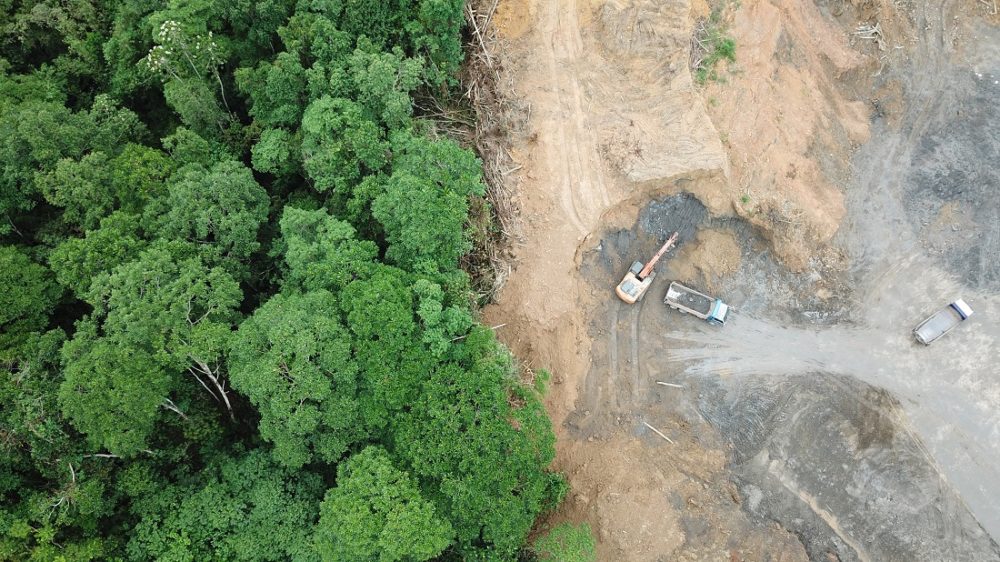 Klimatiltak. Bildet viser avskoging i Malaysia.