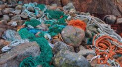 Mausund. Bildet viser tau og fiskegarn på stranden.