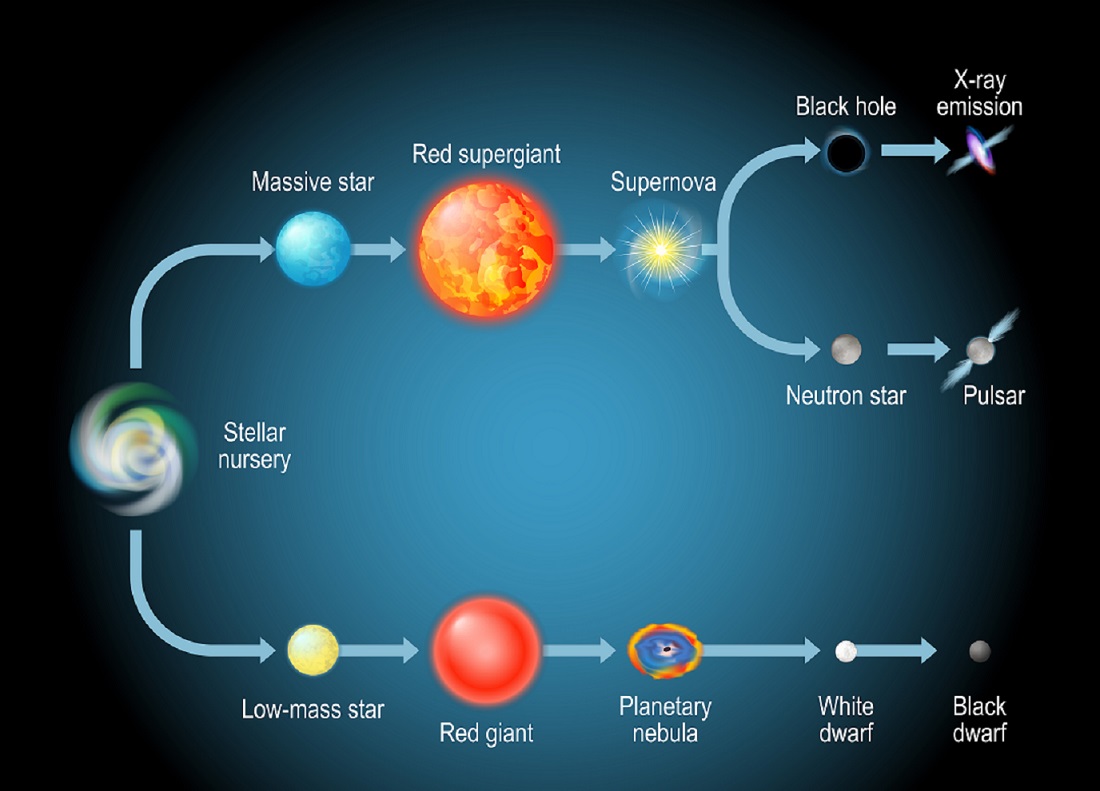 Illustrasjonen viser ulike varianter av stjernenes livssyklus.