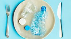 Plast. Illustrasjonen viser plastflaske på tallerken.