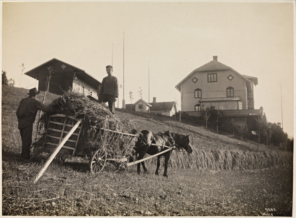 Bildet viser arbeid på landsbygda i 1908.