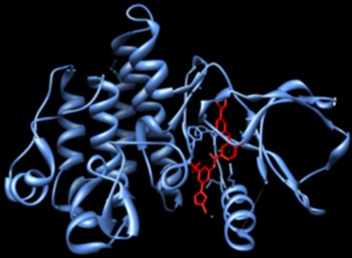 Bildet viser CSF1R-proteinet.