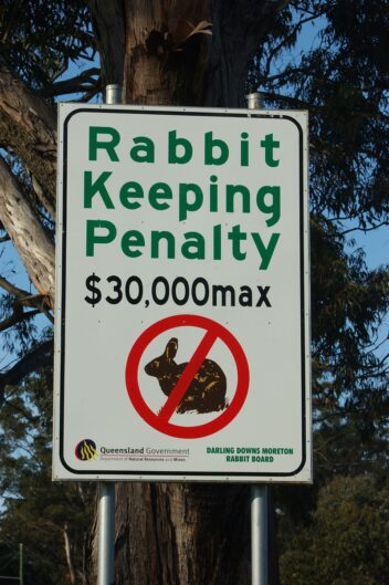 Bildet viser et skilt som forteller at det er 30.000 dollar i bot for å holde kaniner.