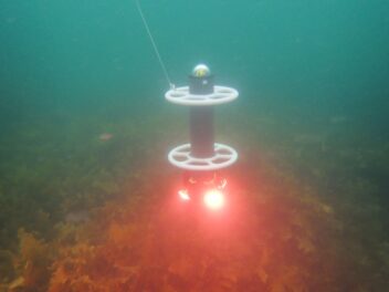 Bildet viser en prototype av roboten  i havet ved Sydney i Australia.